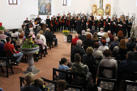 KOMORNI ZBOR FRAN GERBIČ LETNI KONCERT 63 FOTO LJUBO VUKELIČ